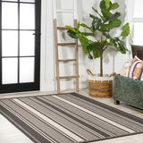 Haynes Modern Double Stripe Indoor/outdoor Area Rug