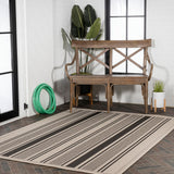 Haynes Modern Double Stripe Indoor/outdoor Area Rug