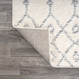 Pia Moroccan Trellis Plush Carved Area Rug