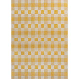 Darcy Traditional Geometric Bold Gingham Area Rug