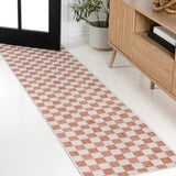 Aimee Traditional Cottage Checkerboard Indoor/Outdoor Area Rug