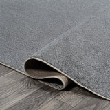 Twyla Classic Solid Low-Pile Machine-Washable Area Rug