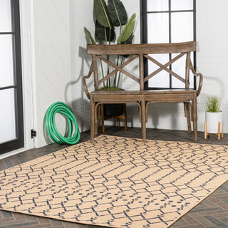 Area Rugs
