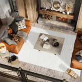 Aydin Solid Plush Shag Area Rug