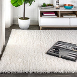 Aydin Solid Plush Shag Area Rug