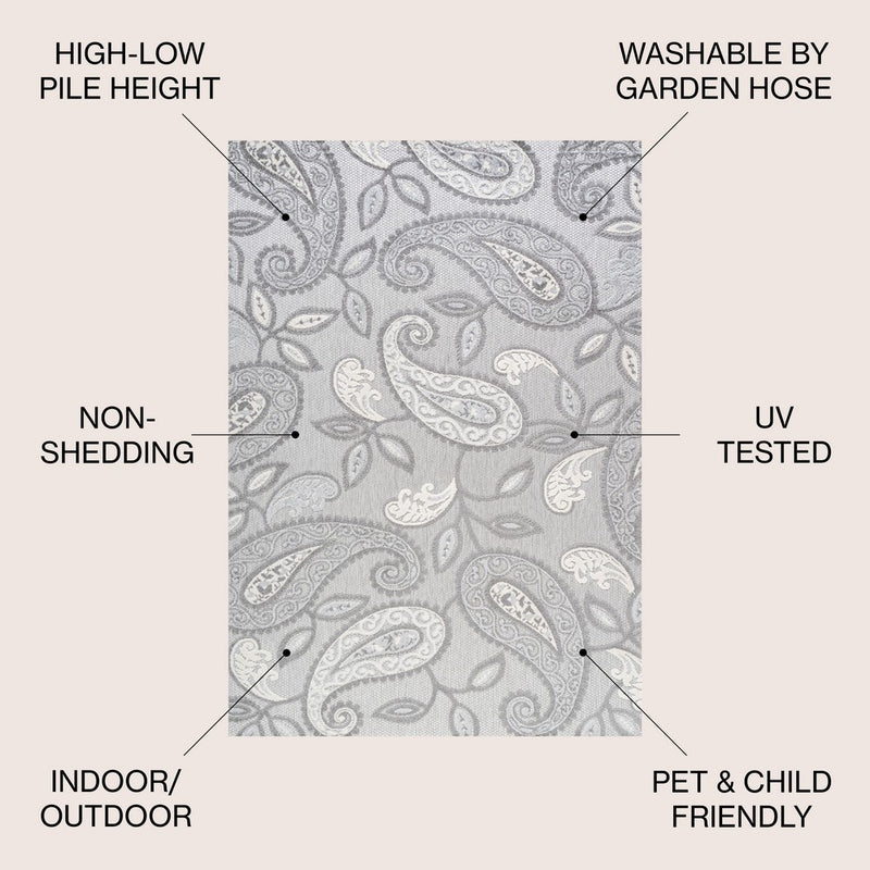 Julien Paisley High-low Indoor/outdoor Area Rug