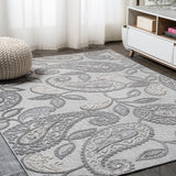 Julien Paisley High-low Indoor/outdoor Area Rug