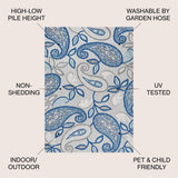 Julien Paisley High-low Indoor/outdoor Area Rug