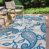 Julien Paisley High-low Indoor/outdoor Area Rug