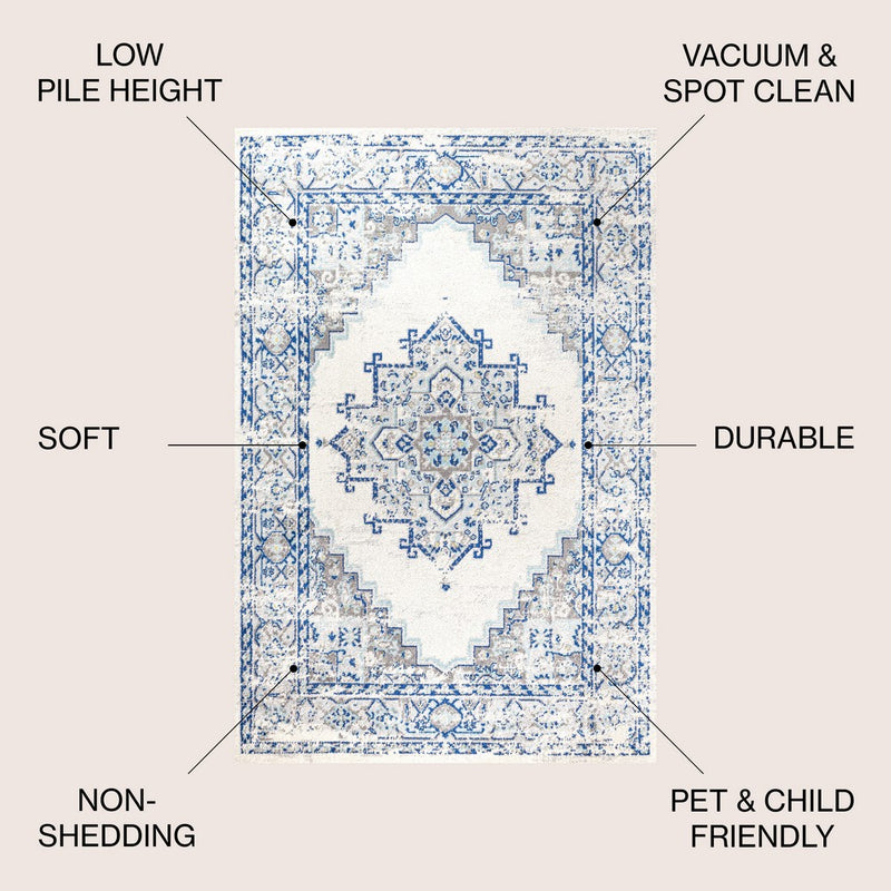 Inigo Cottage Medallion Area Rug