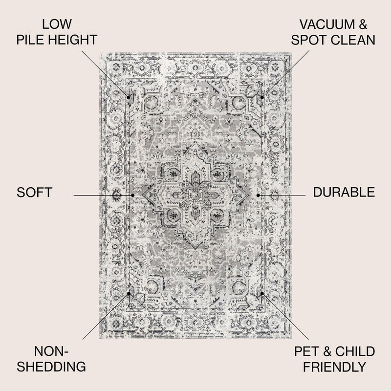 Denia Ornate Geometric Medallion Area Rug