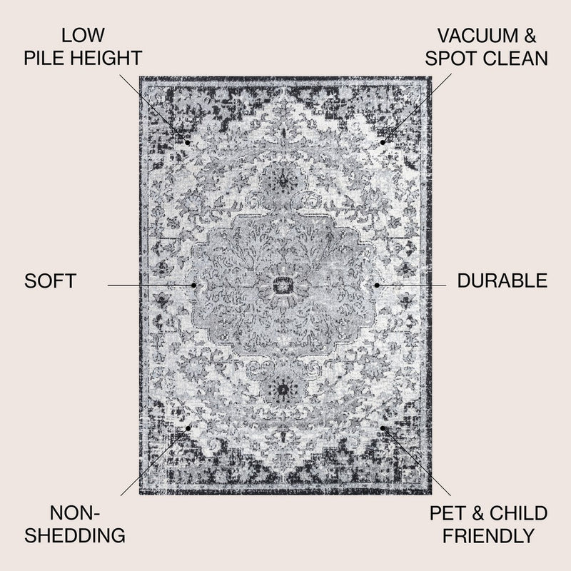 Anaise Ornate Boho Medallion Area Rug