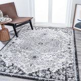 Anaise Ornate Boho Medallion Area Rug