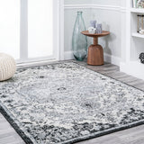 Anaise Ornate Boho Medallion Area Rug