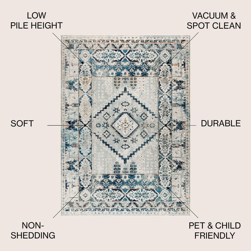 Osuna Diamond Vintage Medallion Area Rug