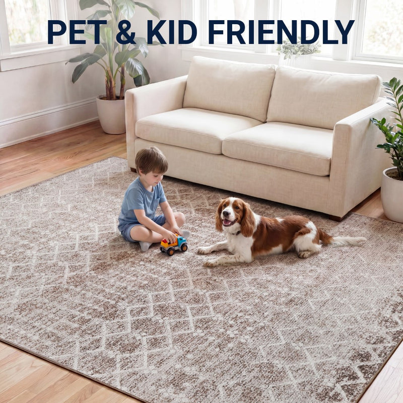 Leila Moroccan Diamond Trellis Machine-washable Area Rug