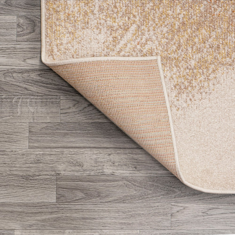 Petalo Abstract Two-tone Modern Area Rug