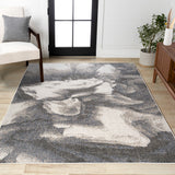 Petalo Abstract Two-tone Modern Area Rug