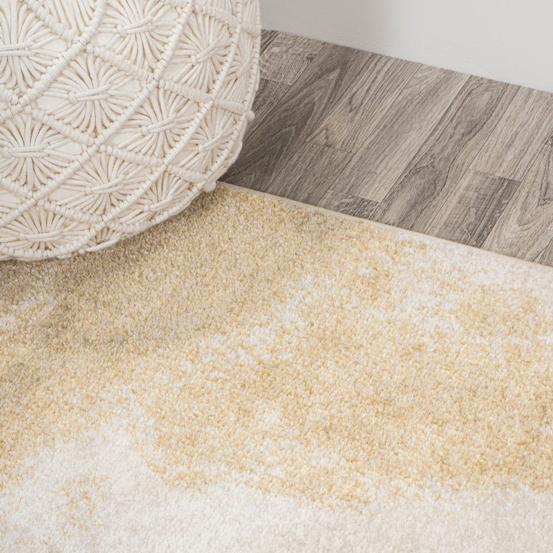 Petalo Abstract Two-tone Modern Area Rug