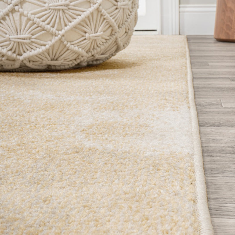 Petalo Abstract Two-tone Modern Area Rug