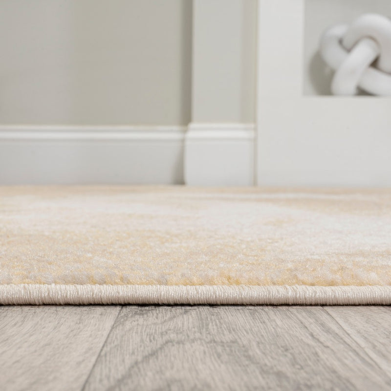 Petalo Abstract Two-tone Modern Area Rug