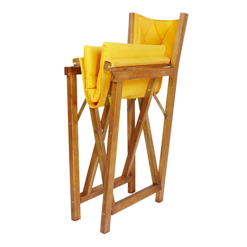 Waldo Classic Mid-Century Outdoor Acacia Wood Foldable Diamond-Quilted Back Director Chair with Cushion Set 2