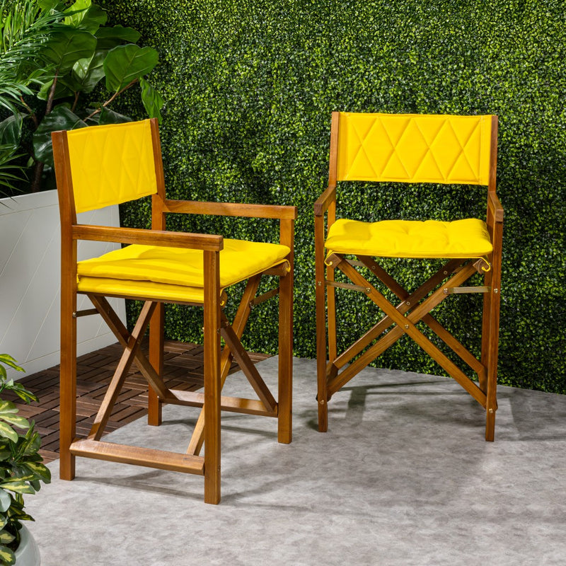 Waldo Classic Mid-Century Outdoor Acacia Wood Foldable Diamond-Quilted Back Director Chair with Cushion Set 2