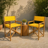Waldo Classic Mid-Century Outdoor Acacia Wood Foldable Diamond-Quilted Back Director Chair with Cushion Set 2