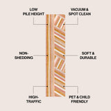Retro Rainbow Contemporary Stripe Area Rug