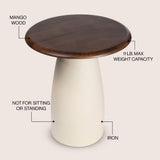 Otto 18" Modern Rustic Round Wood/Metal Accent Table