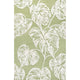 Light Green/Ivory