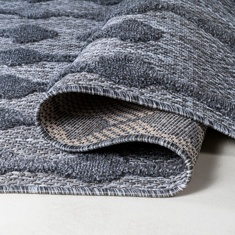 Peralta Moroccan Diamond Indoor/outdoor Area Rug