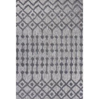 Peralta Moroccan Diamond Indoor/outdoor Area Rug