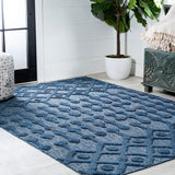 Peralta Moroccan Diamond Indoor/outdoor Area Rug