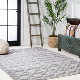 Peralta Moroccan Diamond Indoor/outdoor Area Rug