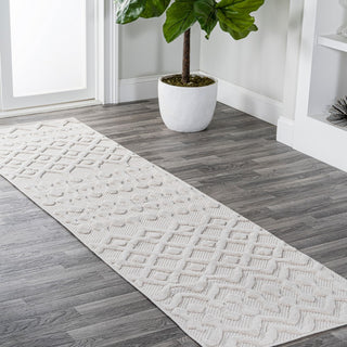 Peralta Moroccan Diamond Indoor/outdoor Area Rug