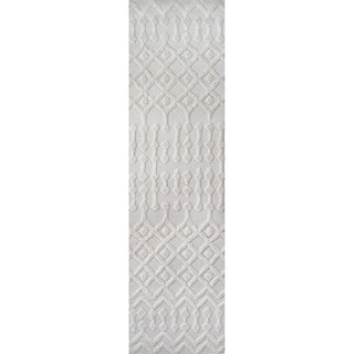 Peralta Moroccan Diamond Indoor/outdoor Area Rug