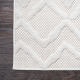 Peralta Moroccan Diamond Indoor/outdoor Area Rug