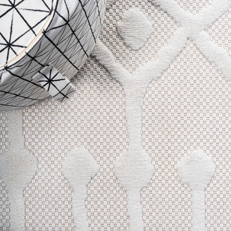 Peralta Moroccan Diamond Indoor/outdoor Area Rug
