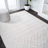 Peralta Moroccan Diamond Indoor/outdoor Area Rug