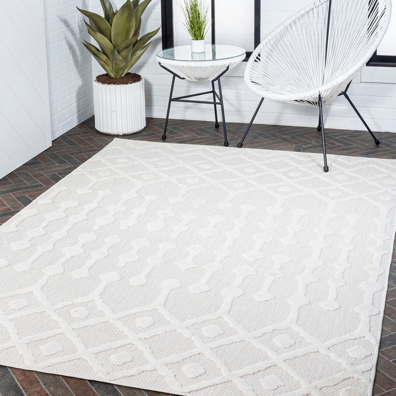 Peralta Moroccan Diamond Indoor/outdoor Area Rug