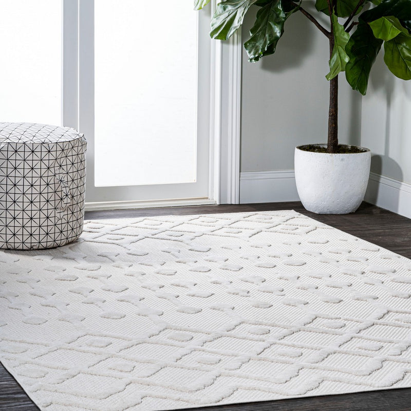 Peralta Moroccan Diamond Indoor/outdoor Area Rug
