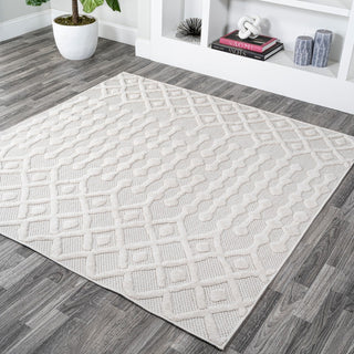 Peralta Moroccan Diamond Indoor/outdoor Area Rug