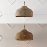 Eliza 20" Coastal Bohemian Rattan/Iron Dome LED Pendant