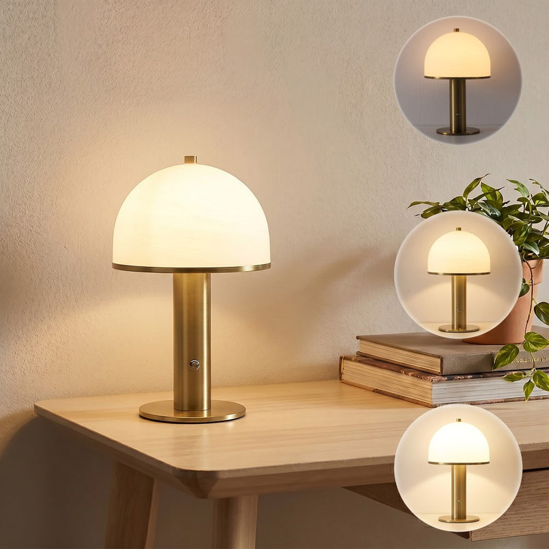 Imani 12.3 in. Modern Metal Rechargeable Integrated Dimmable LED Table Lamp with Touch Sensor
