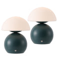 Matte Dark Teal/White (Set of 2)