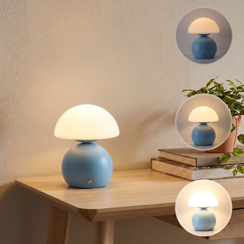 Kanya 7.3 in. Modern Minimalist Metal and Glass Rechargeable Integrated Touch Sensor Dimmable LED Table Lamp