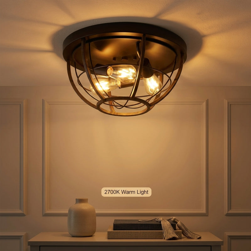 Light on image JYL1308A