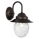 Oil Rubbed Bronze/Clear