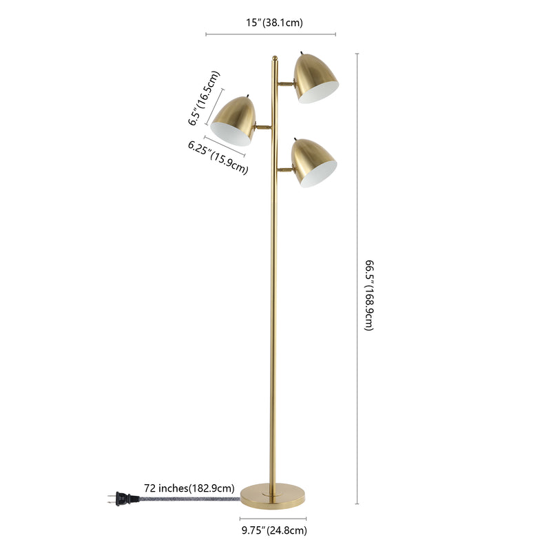 Billy 66.5" Modern Contemporary Iron LED Floor Lamp